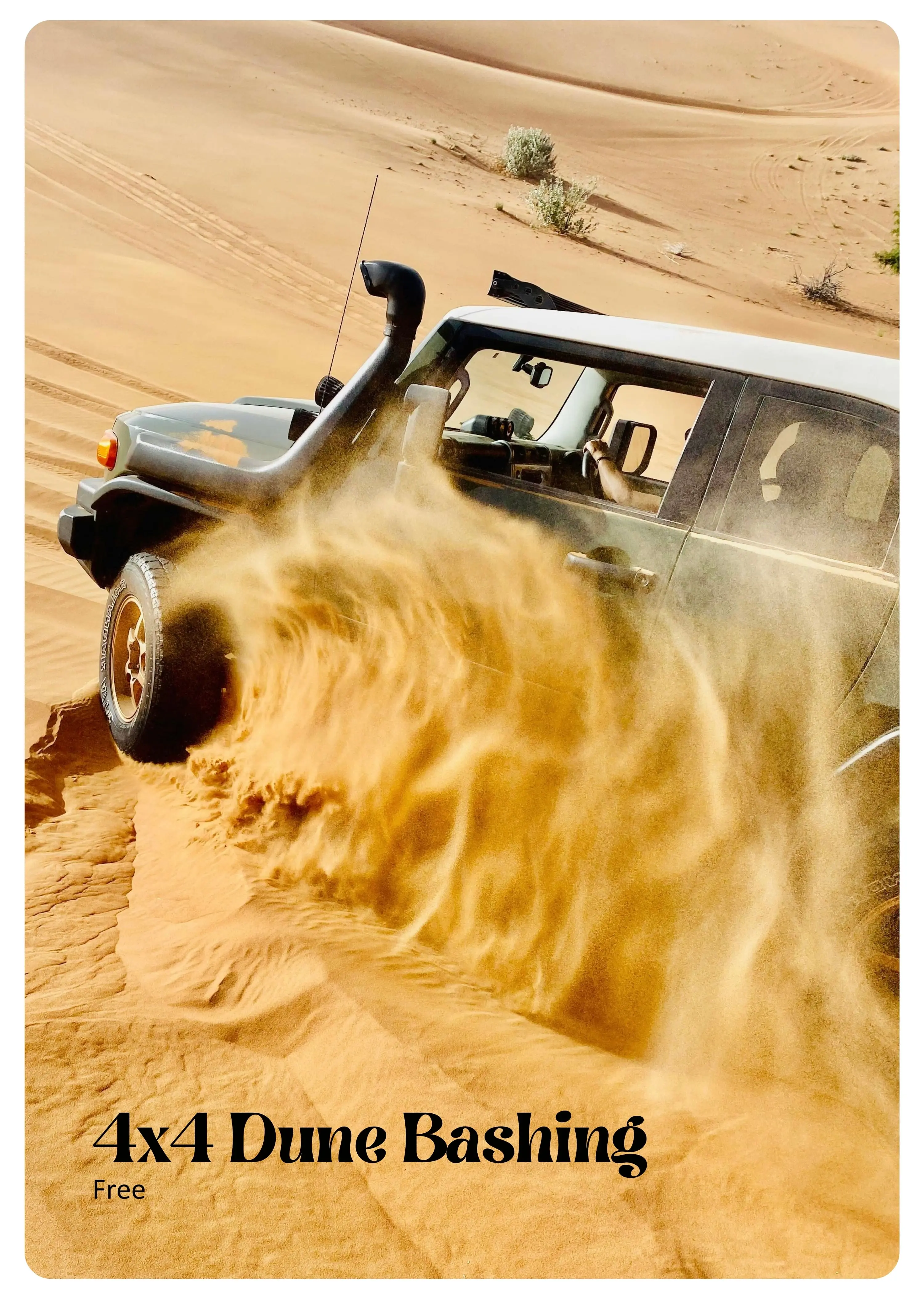 4x4-safari