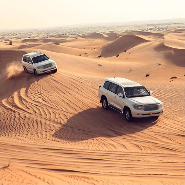 about-landcruiser