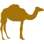 camel-riding