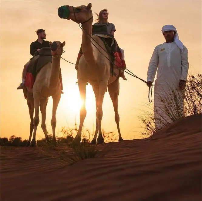 emirates-overnight-safari-dubai-tourism-packages