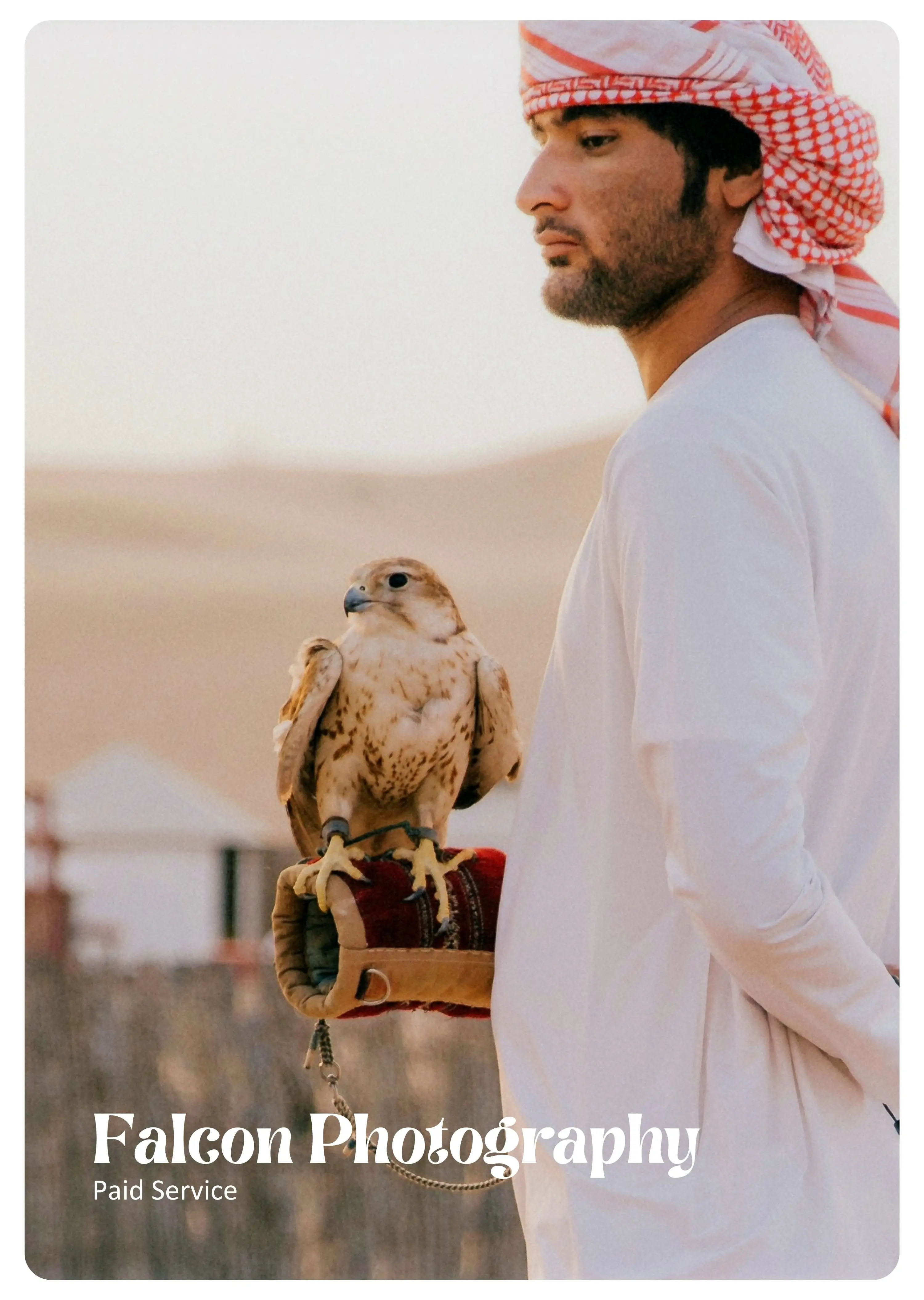 falcon