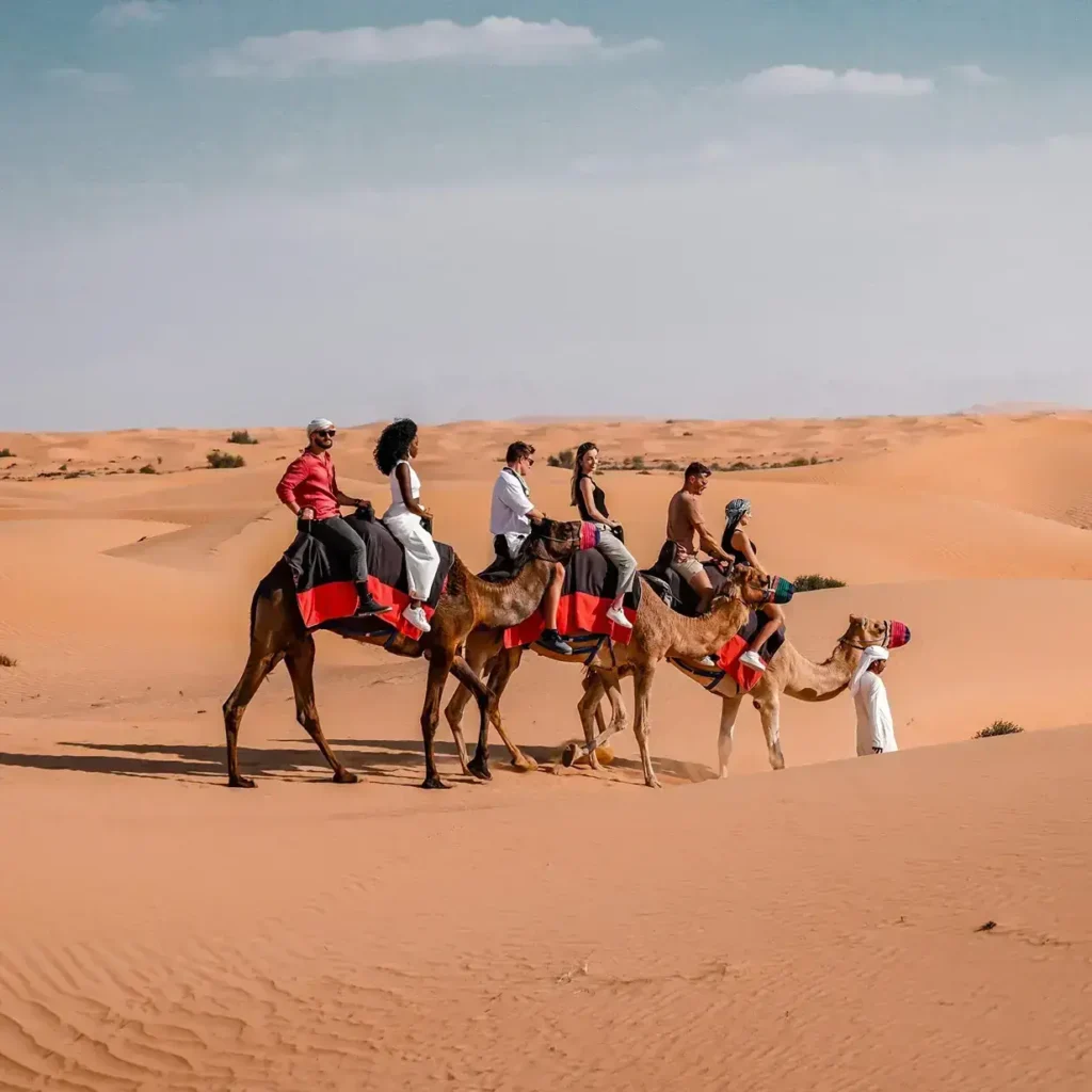 morning-camelriding